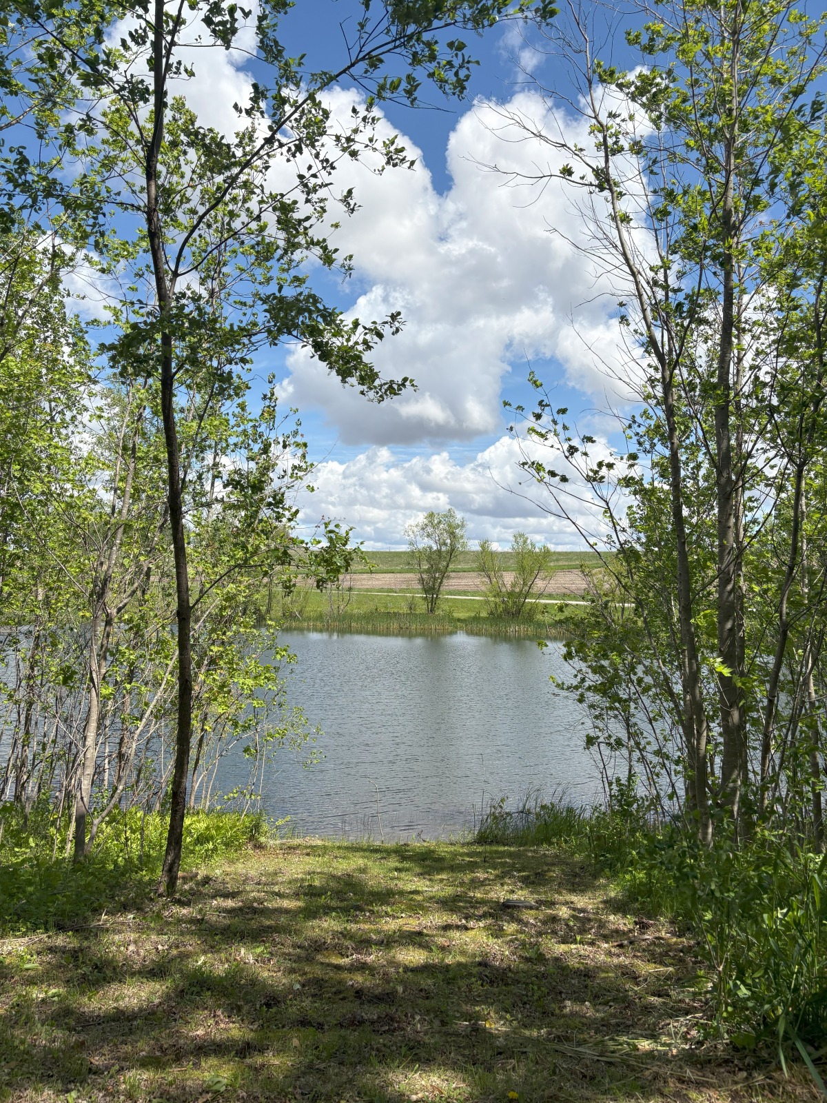 horton road pond 3